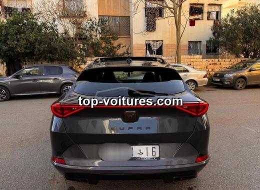 Cupra Formentor 2023 — photo 4