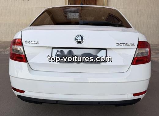 Skoda Octavia 2020 — photo 2
