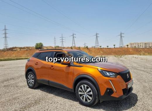 Peugeot 2008 2021 — photo 6