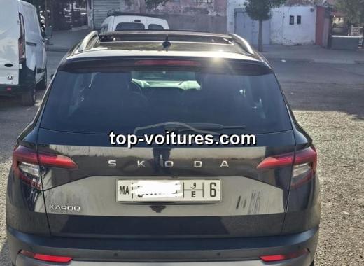 Skoda Karoq 2020 — photo 8