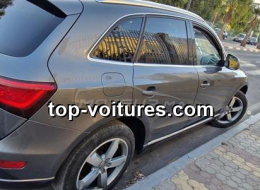 Audi Q5 2014 — photo 5