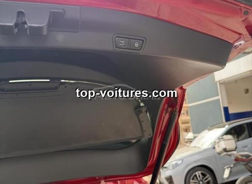 Alfa Romeo Stelvio 2019 — photo 5