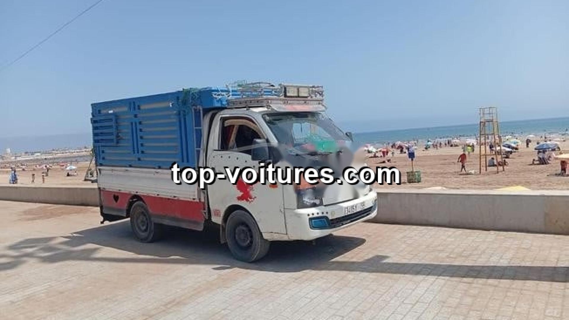 Hyundai H100