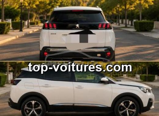 Peugeot 3008 2019 — photo 2