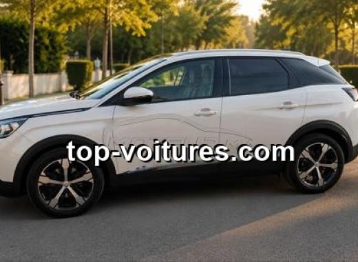 Peugeot 3008 2019 — photo 3