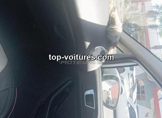 Ford Fiesta 2014 — photo 2