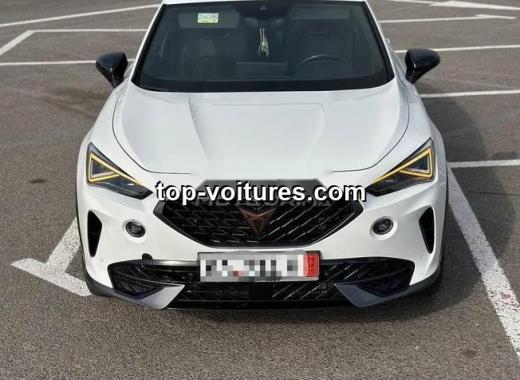 Cupra Formentor 2023 — photo 5