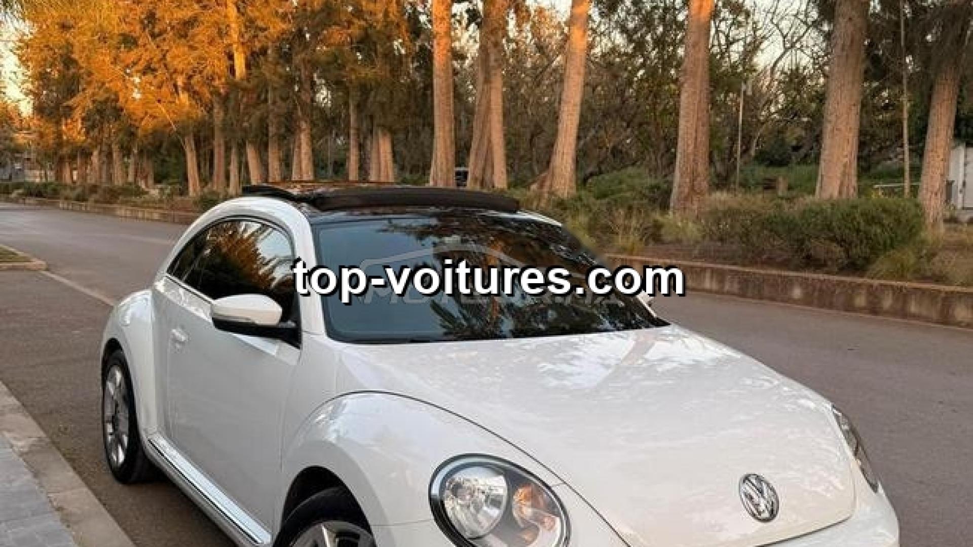 Volkswagen Coccinelle