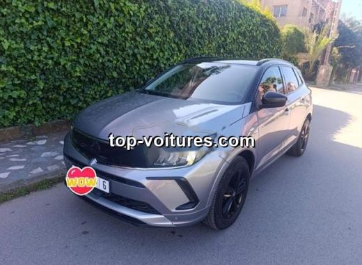 Opel Grandland 2024 — photo 4