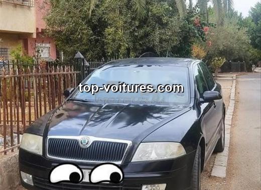 Skoda Octavia 2008 — photo 2